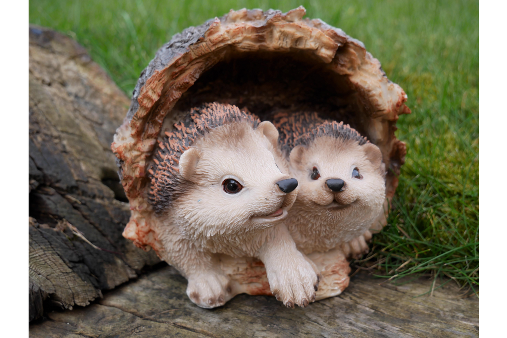 Hedgehogs In Log