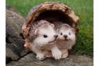 Hedgehogs In Log
