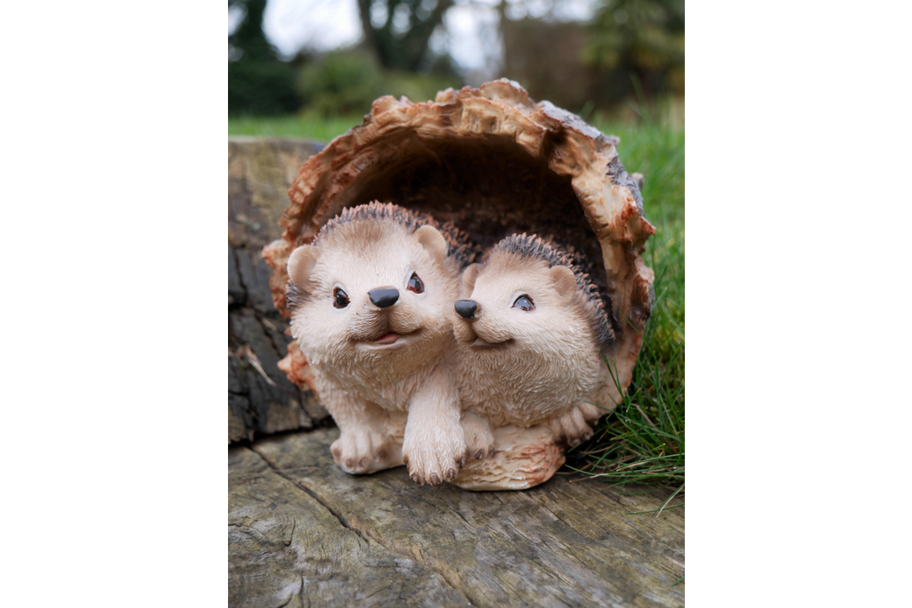 Hedgehogs In Log