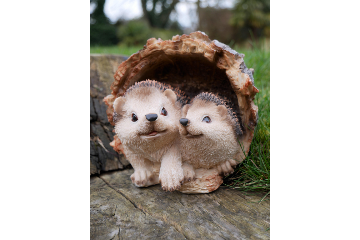 Hedgehogs In Log