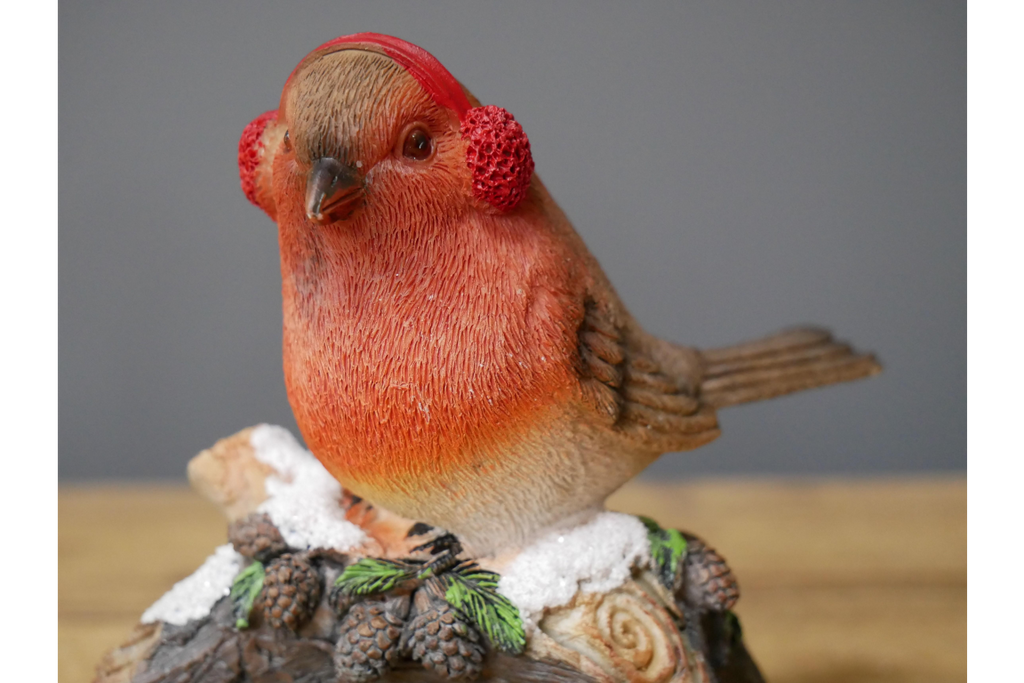 Winter Robin