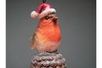 Robin On Acorn Tree Decoration
