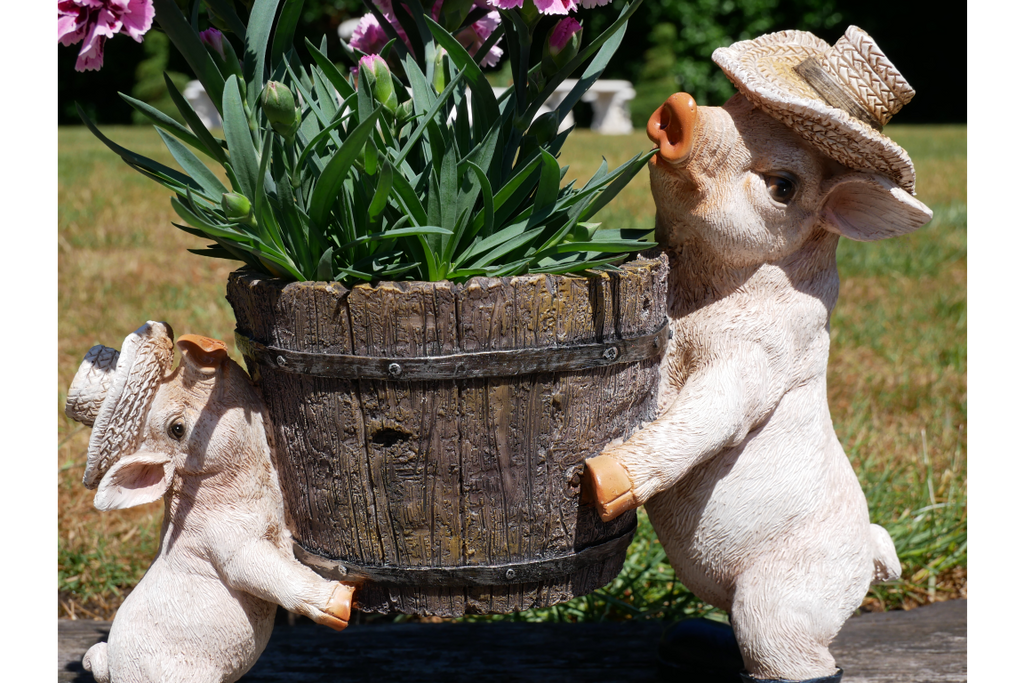 Pig Planter