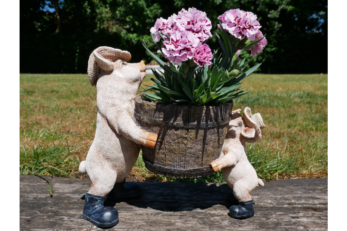 Pig Planter