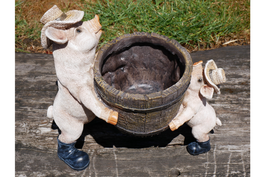 Pig Planter