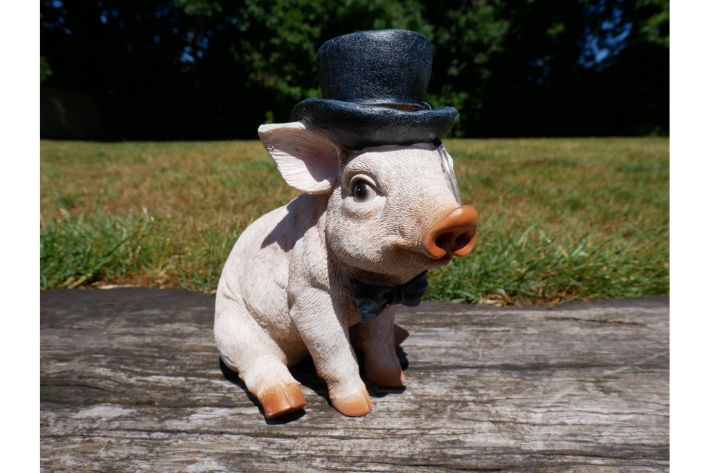 Pig With Monocle