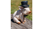 Pig With Monocle