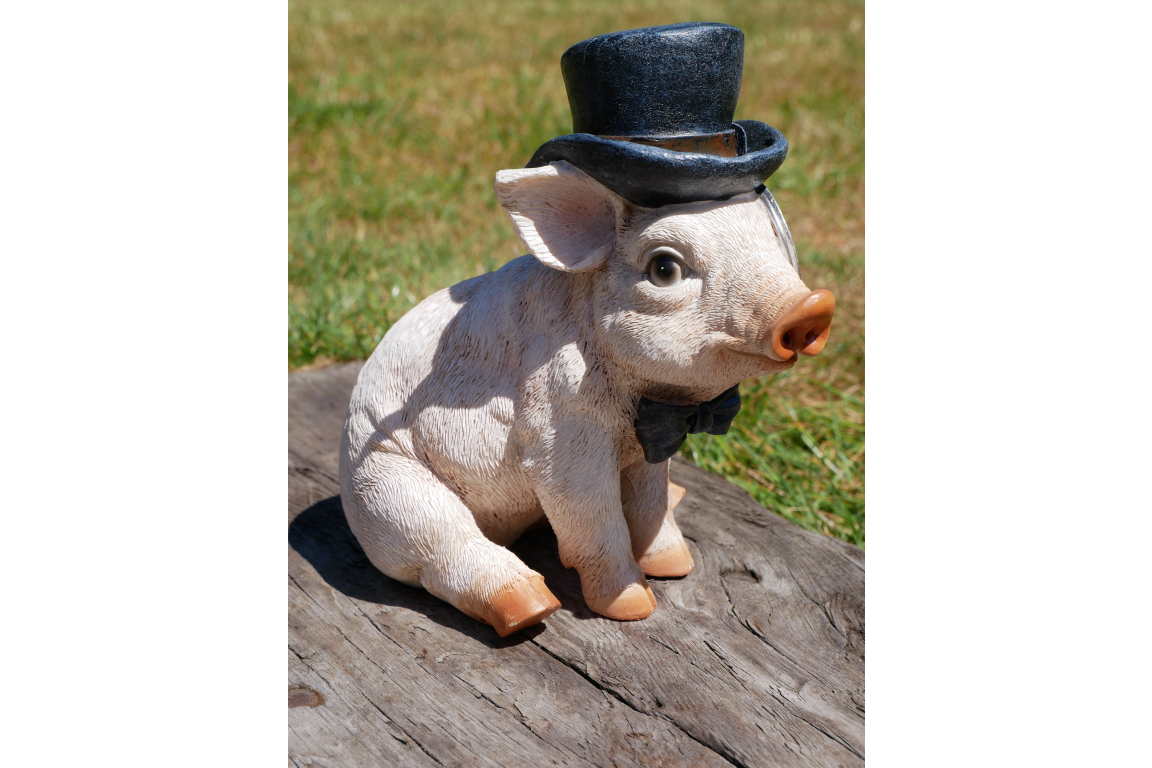 Pig With Monocle