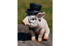 Pig With Monocle