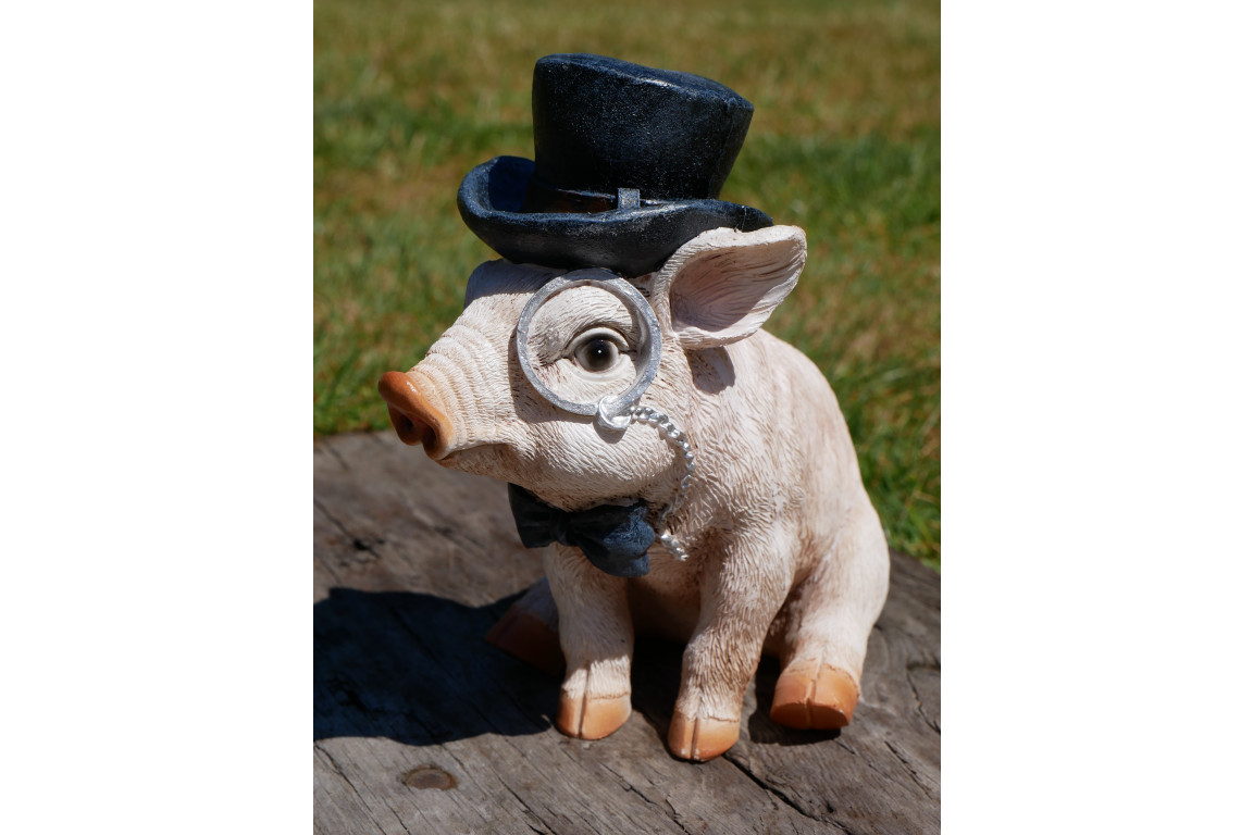 Pig With Monocle