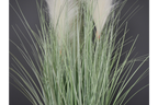 Artificial Pampas Grass