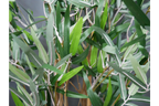 Artificial Bamboo