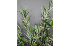 Artificial Bamboo