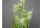 Artificial Grass With White Flowers