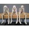 Set Of 3 Skeletons