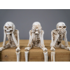 Set Of 3 Skeletons