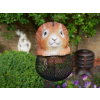 Squirrel Feeder