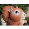 Squirrel Feeder