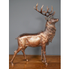 Stag