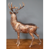 Stag