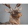 Stag