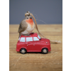 Robin On Car