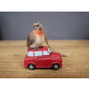 Robin On Car