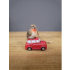 Robin On Car