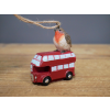 Robin On Bus