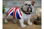 British Bulldog