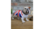 British Bulldog