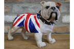 British Bulldog