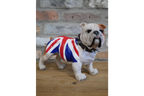 British Bulldog