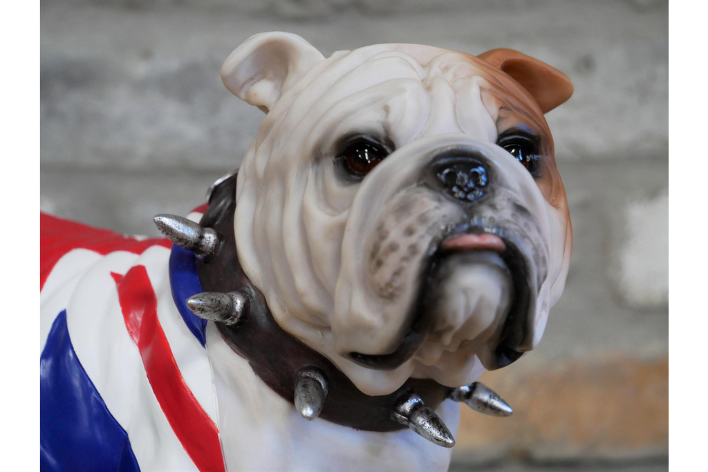 British Bulldog