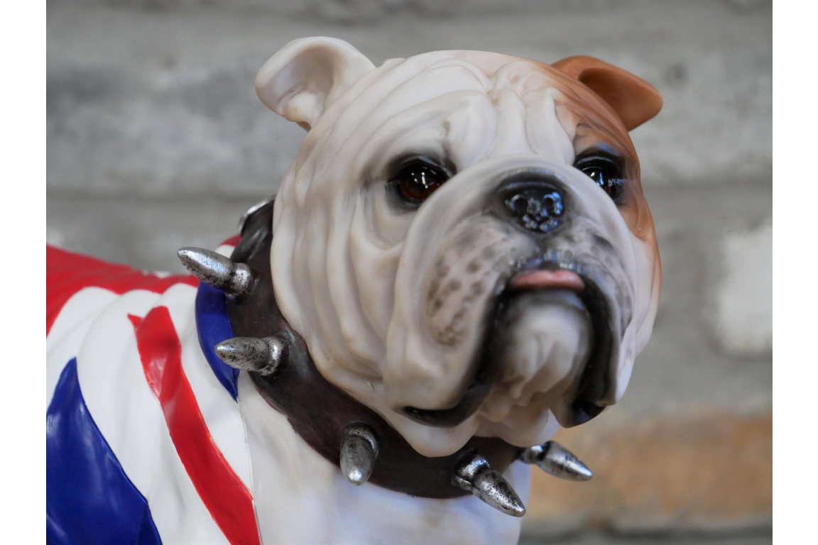British Bulldog