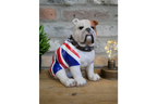 British Bulldog