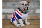 British Bulldog