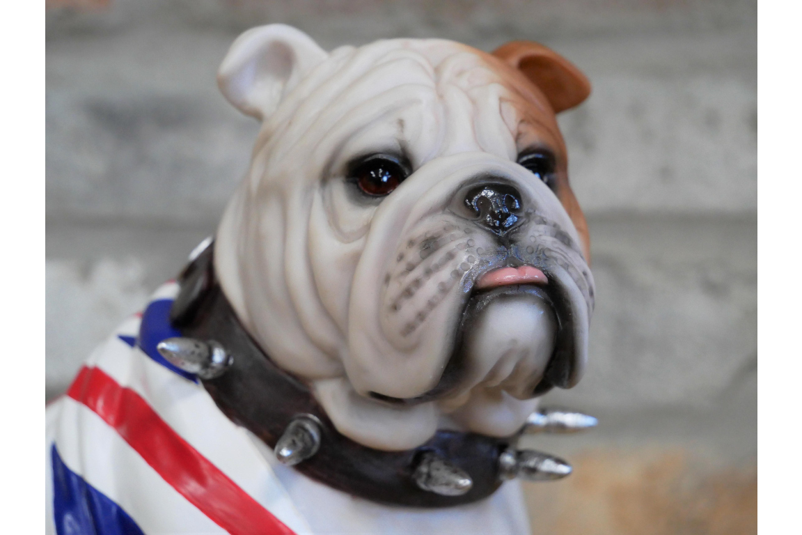 British Bulldog