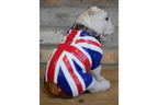 British Bulldog