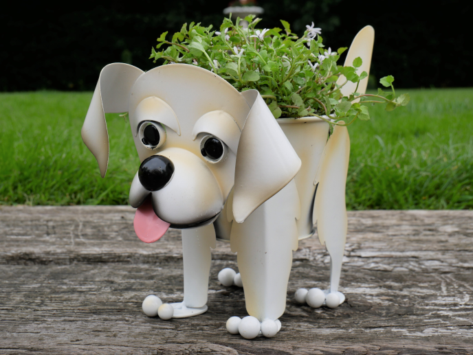 Labrador  Planter