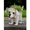 Labrador  Planter
