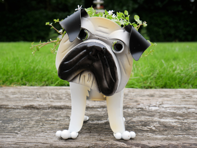 Pug Planter