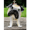 Pug Planter