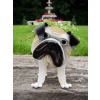Pug Planter