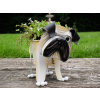 Pug Planter