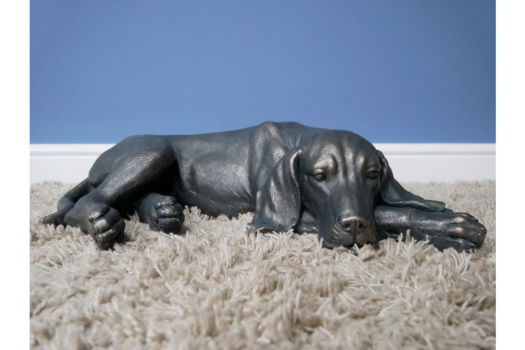 Laying Dog