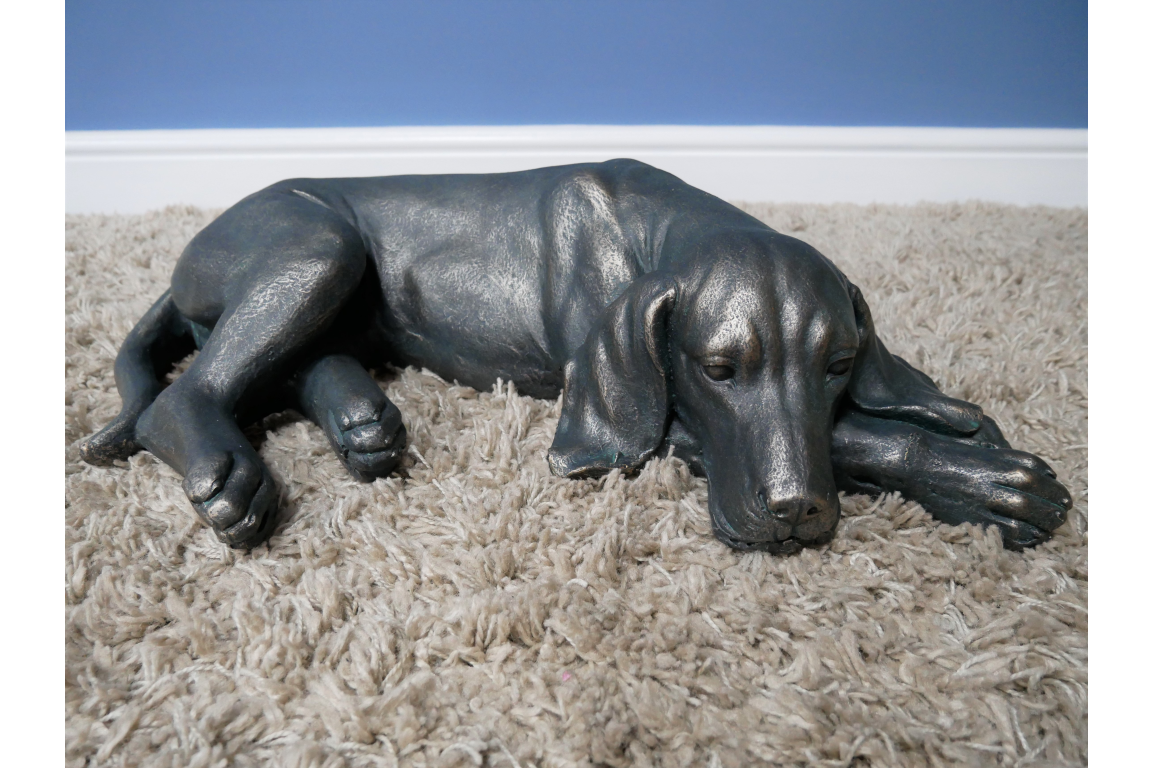 Laying Dog