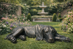 Laying Dog
