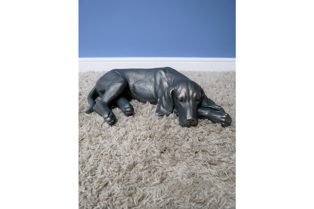 Laying Dog