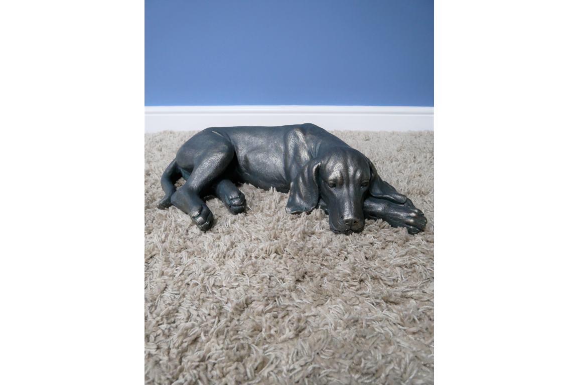 Laying Dog